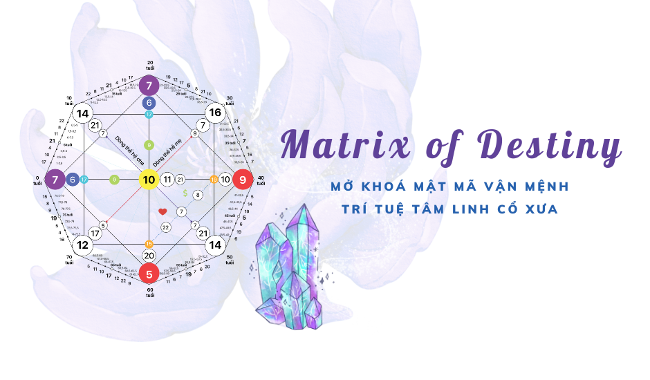 Học viện Soul Plan - Phương pháp tư vấn Matrix Of Destiny