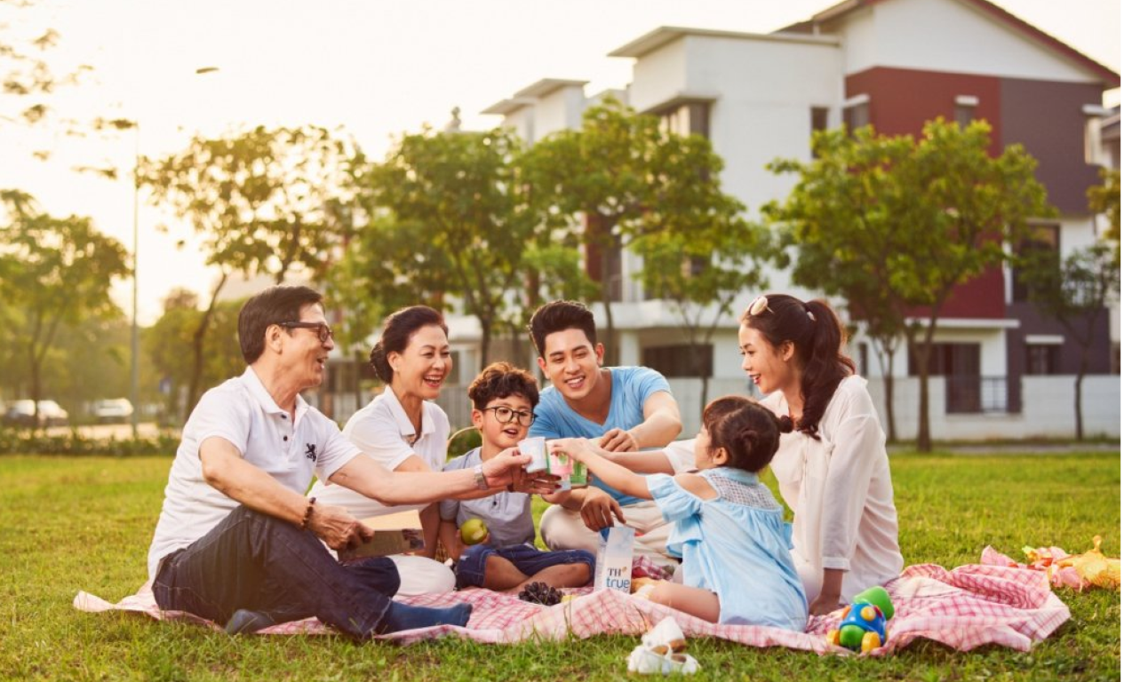 Luận giải Soul Plan cơ bản - Lĩnh vực: Hoà hợp gia đình 3 thế hệ